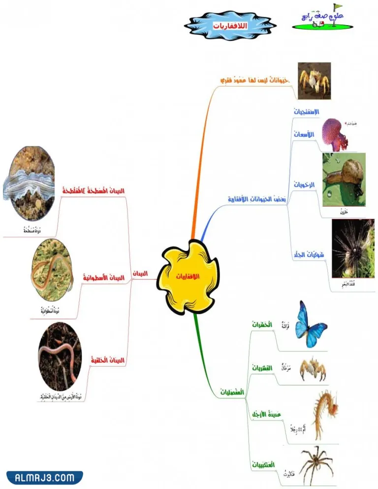 مطويات علوم رابع ابتدائي عن أجهزة أجسام الحيوانات