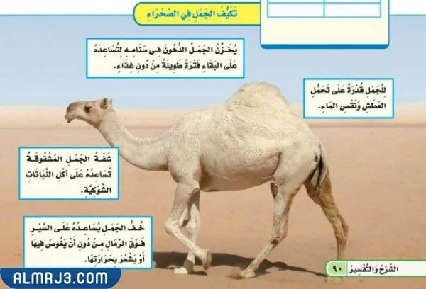 مطوية التكيف والبقاء جاهزة للطباعة