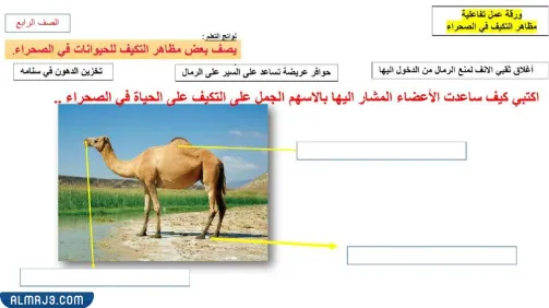 مطوية التكيف والبقاء جاهزة للطباعة