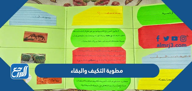 مطوية التكيف والبقاء