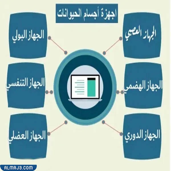 مطوية عن اجهزة اجسام الحيوانات