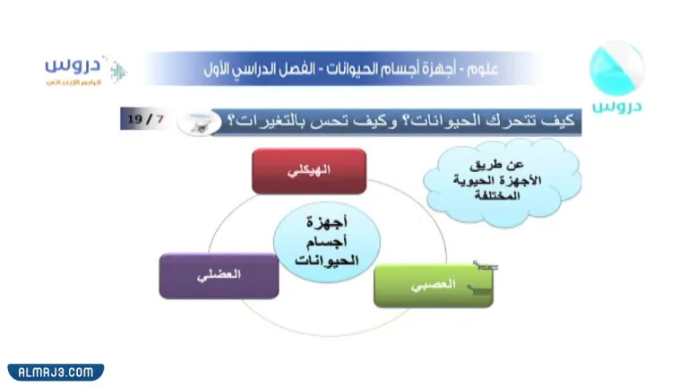 مطوية عن اجهزة اجسام الحيوانات