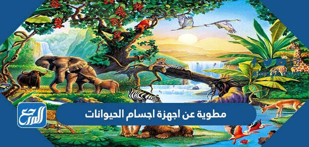 مطوية عن اجهزة اجسام الحيوانات