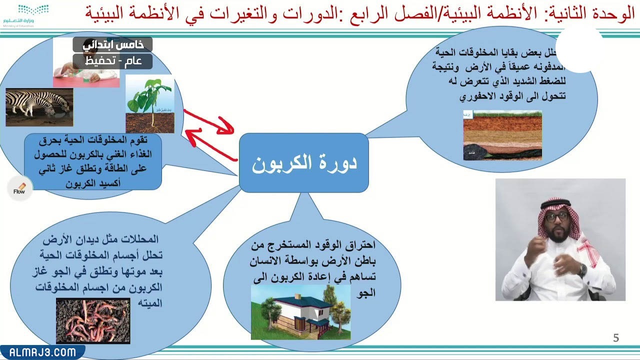 مطوية عن الدورات في الانظمة البيئية جاهزة للطباعة