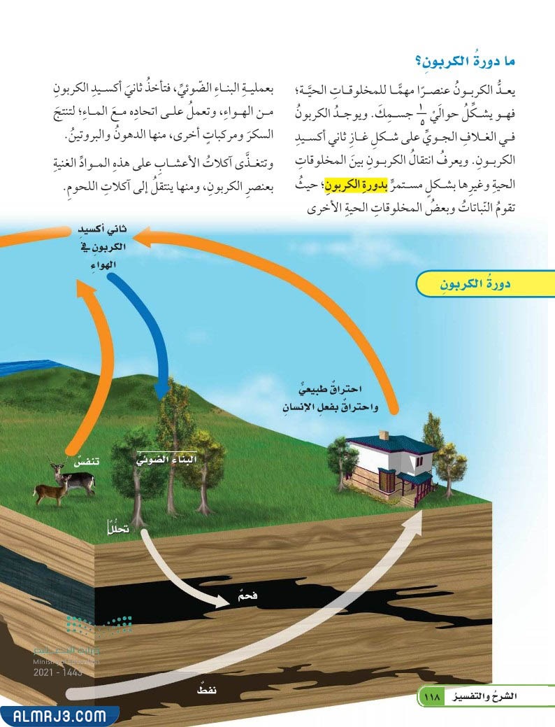مطوية عن الدورات في الانظمة البيئية جاهزة للطباعة