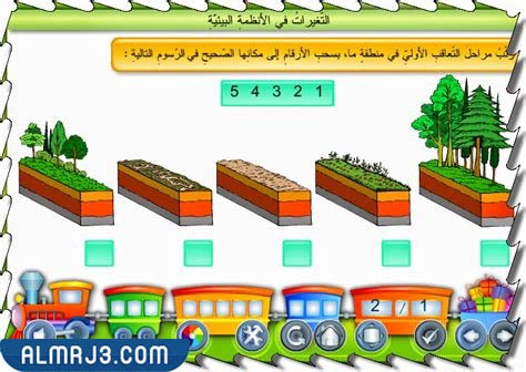 مطوية عن الدورات في الانظمة البيئية جاهزة للطباعة