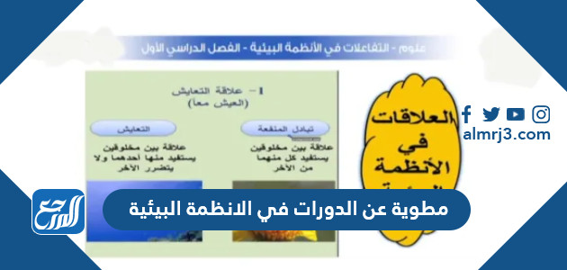 مطوية عن الدورات في الانظمة البيئية جاهزة للطباعة