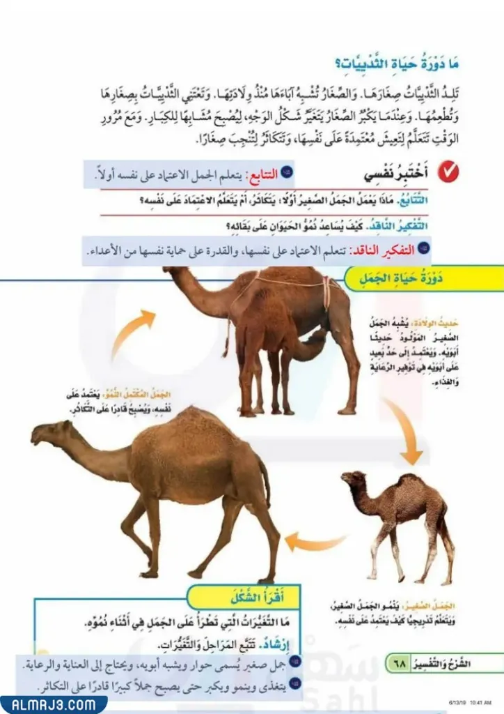 مطوية عن دورة حياة الحيوانات