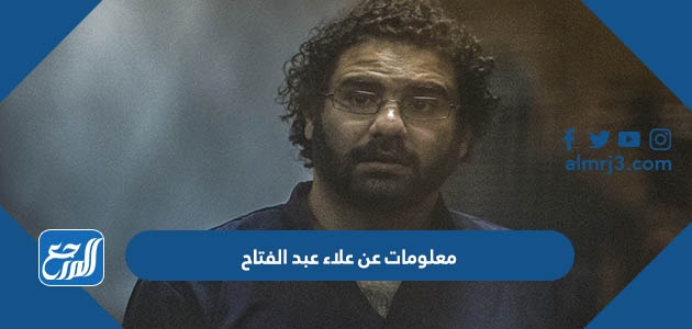 معلومات عن علاء عبد الفتاح