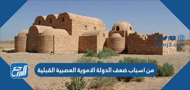 من اسباب ضعف الدولة الاموية العصبية القبلية