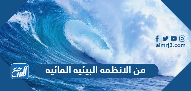 من الانظمه البيئيه المائيه
