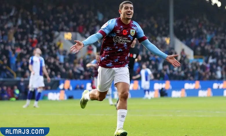 من هو أنس الزروري السيرة الذاتية