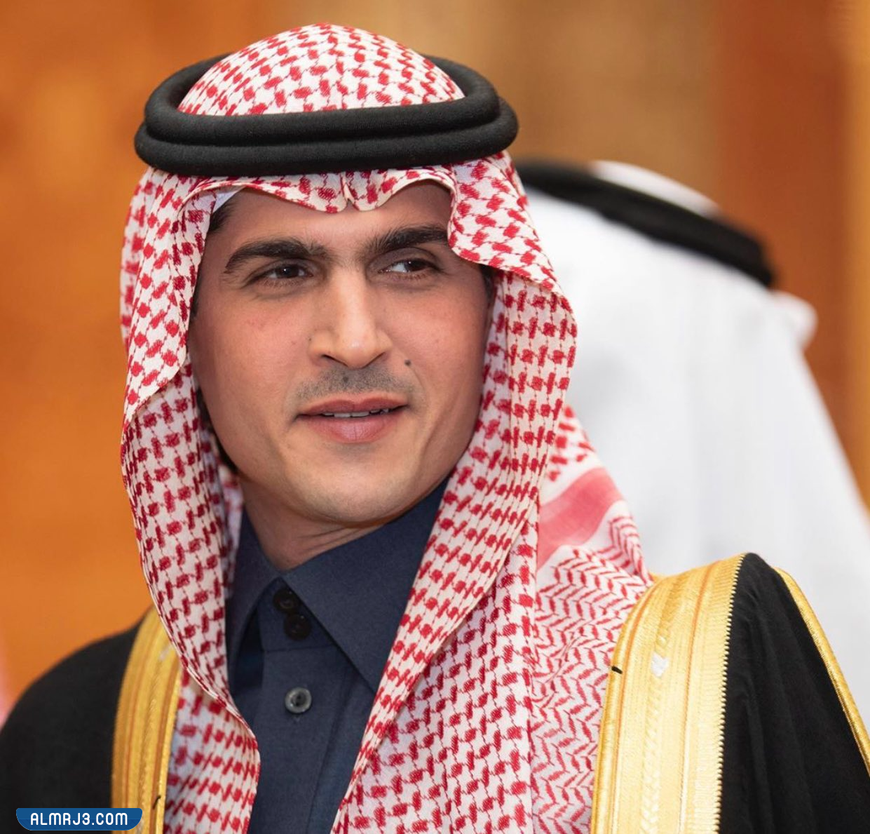 من هو الأمير نايف بن سلطان ويكيبيديا