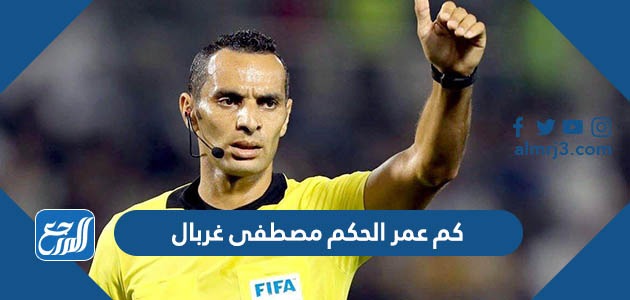 من هو الحكم مصطفى غربال ويكيبيديا