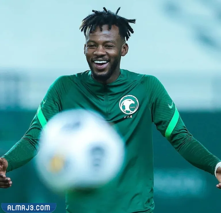 من هو حسان تمبكتي ويكيبيديا