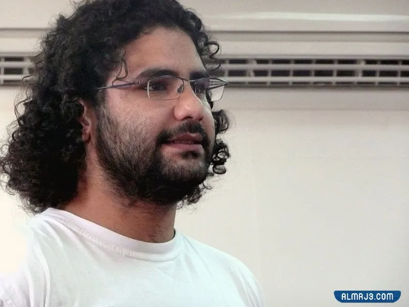 من هو علاء عبد الفتاح ويكيبيديا