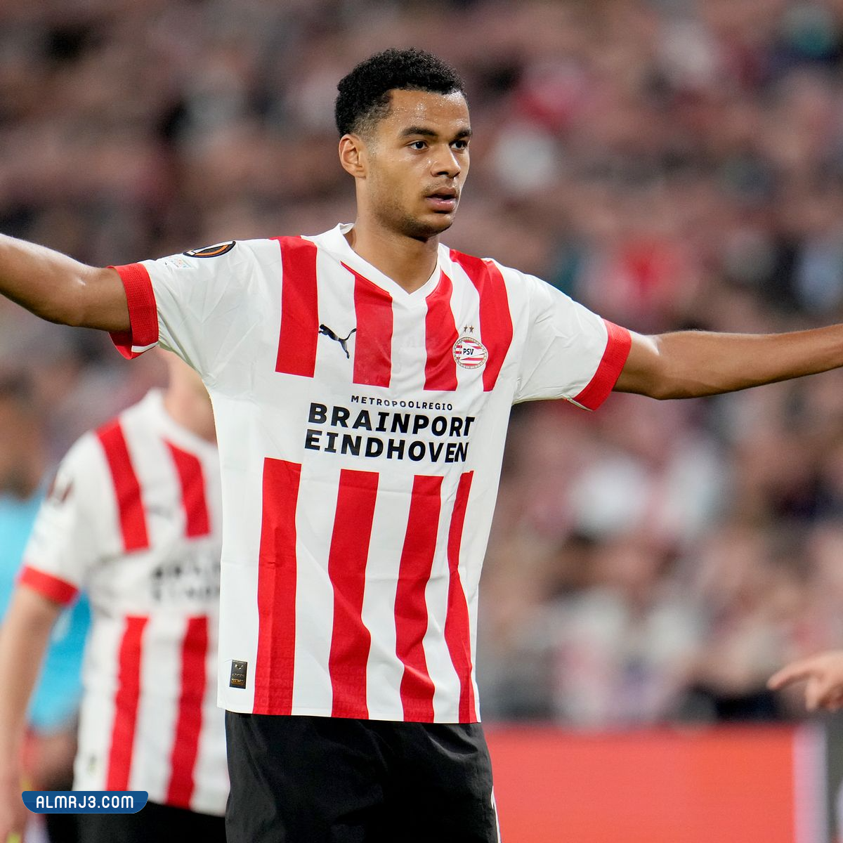 من هو كودي جاكبو لاعب منتخب هولندا