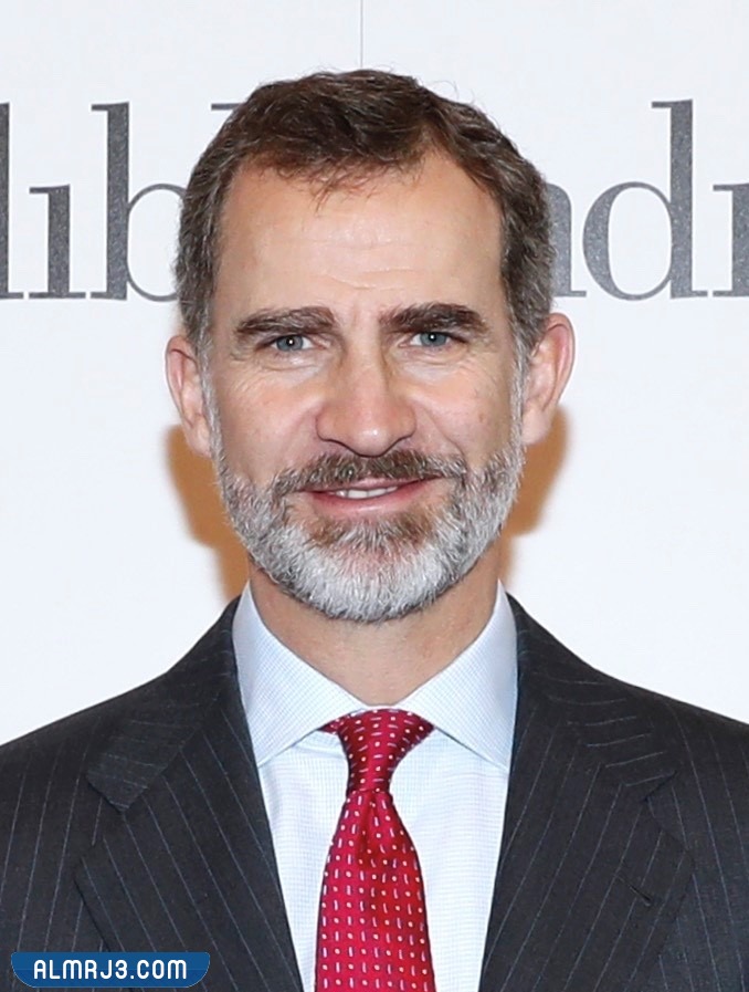 من هو ملك إسبانيا ويكيبيديا