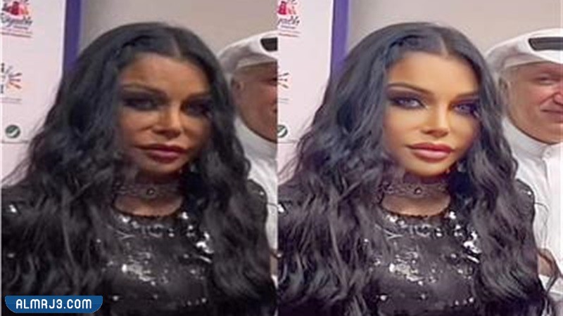 من هي هيفاء وهبي ويكيبيديا