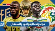 تاريخ مواجهات الإكوادور والسنغال في كرة القدم