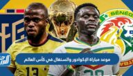 موعد مباراة الإكوادور والسنغال في كأس العالم والقنوات الناقلة موعد مباراة الإكوادور والسنغال في كأس العالم والقنوات الناقلة