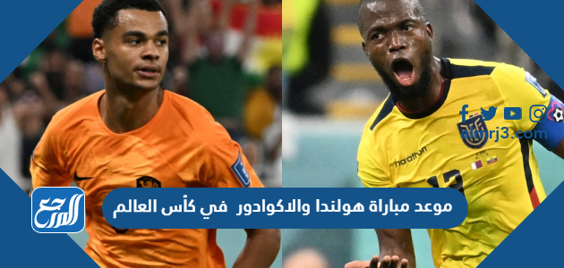 موعد مباراة هولندا والاكوادور في كأس العالم