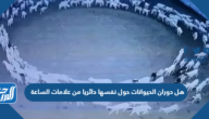 هل دوران الحيوانات حول نفسها دائريا من علامات الساعة
