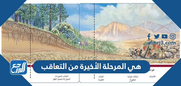 هي المرحلة الأخيرة من التعاقب