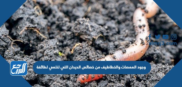 وجود الممصات والخطاطيف من خصائص الديدان التي تنتمي لطائفة