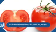 وظيفة الإندوسبيرم endosperm في البذرة هي توفير الحماية ضد تأثيرات البيئة الضارة.
