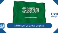 ياسعودي جينا من كل مدينة كلمات