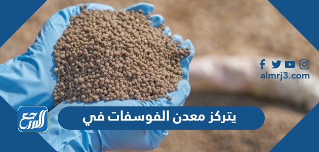 يتركز معدن الفوسفات في