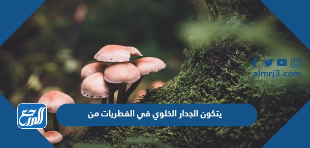 يتكون الجدار الخلوي في الفطريات من