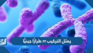 يمثل التركيب rr طرازًا جينيًّا
