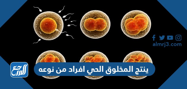 ينتج المخلوق الحي افراد من نوعه