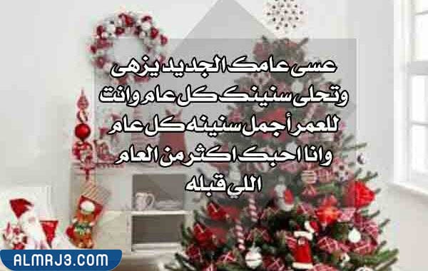 صور أيام قليلة وينتهي هذا العام ويبدأ عام جديد