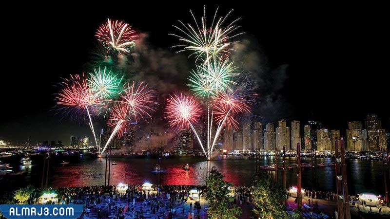 صور اليوم الوطني الاماراتي 51 مميزة جدا