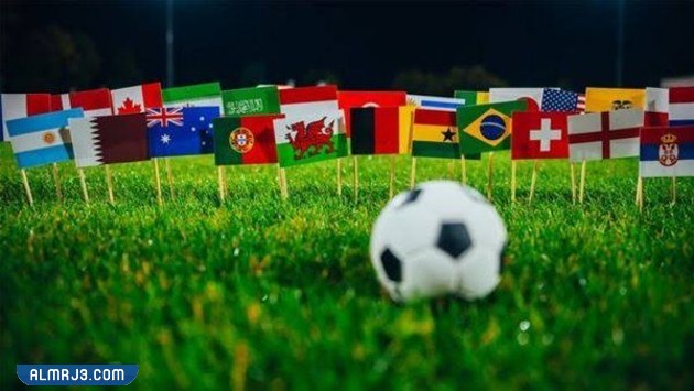 اماكن عرض مباريات كاس العالم