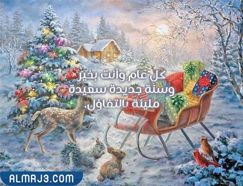 صور أيام قليلة وينتهي هذا العام ويبدأ عام جديد