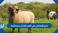 نذبح الأضاحي في العيد اقتداء بسنة أبينا ##