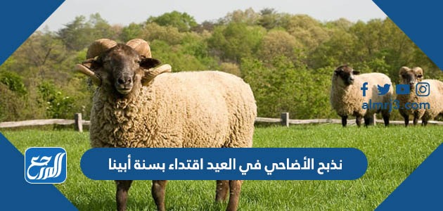 نذبح الأضاحي في العيد اقتداء بسنة أبينا ##