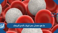 ما هو معدل عمر كريات الدم البيضاء