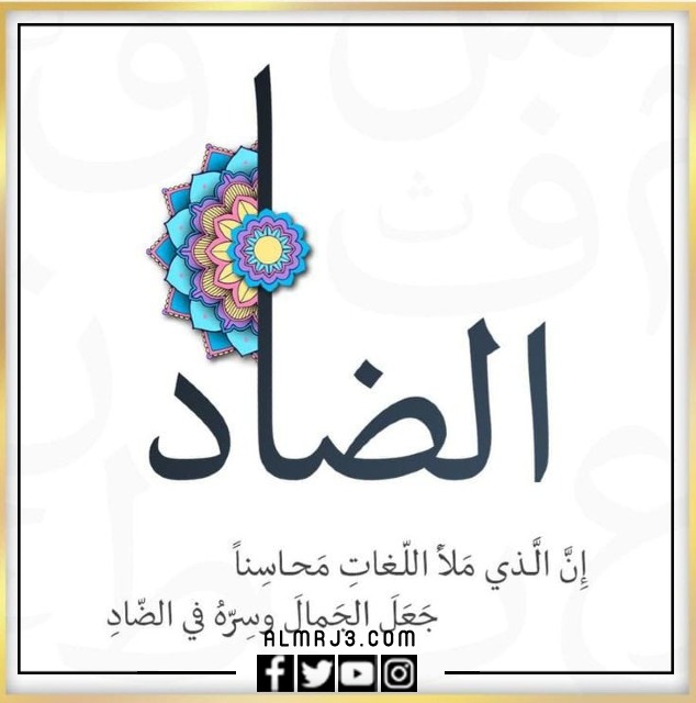 صور معبرة عن اليوم العالمي للغة العربية