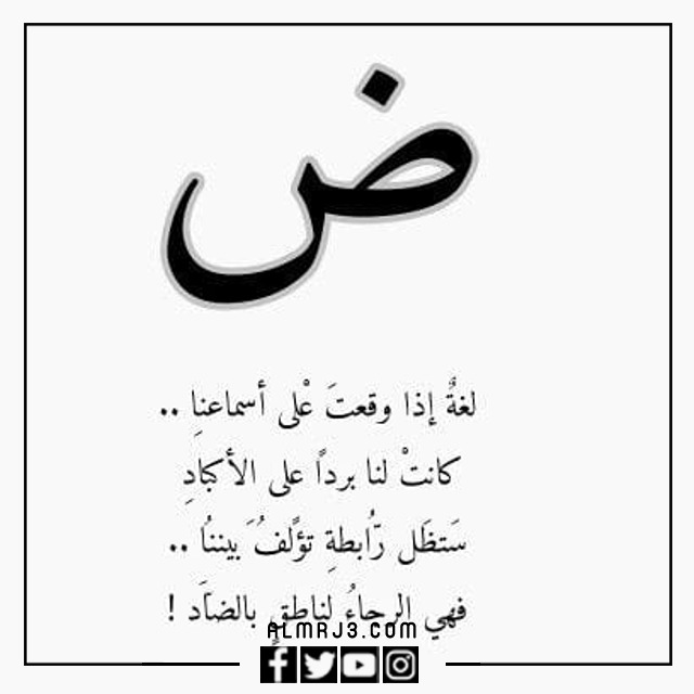 صور معبرة عن اليوم العالمي للغة العربية