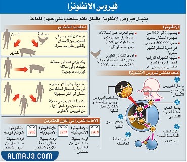 مطوية عن الامراض المعدية