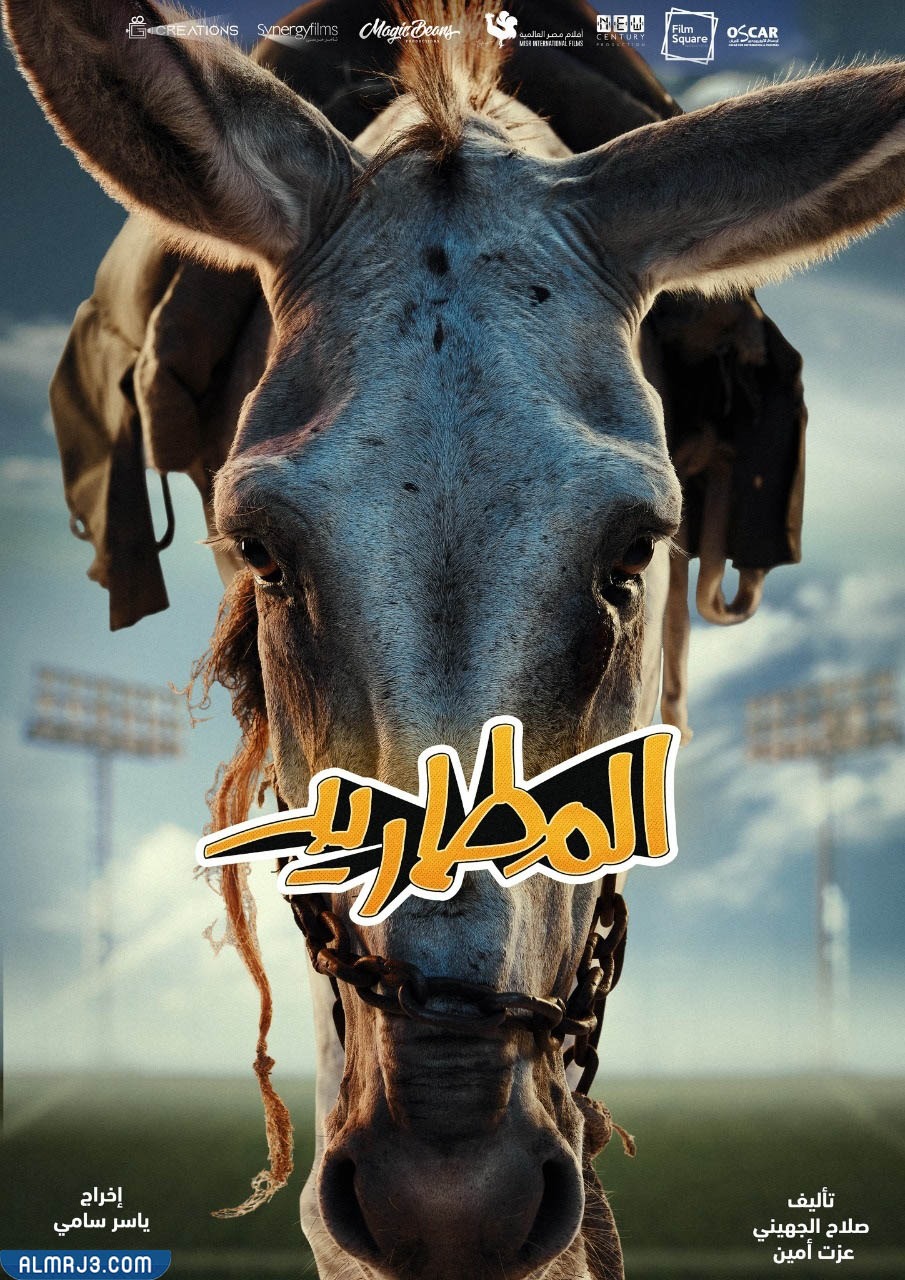 أسماء أجمل أفلام رأس السنة الجديدة 2023 وتقييمها