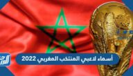 أسماء لاعبي المنتخب المغربي 2022 وجنسياتهم