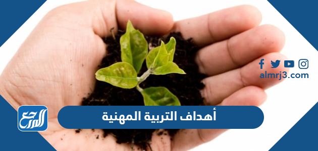 أهداف التربية المهنية