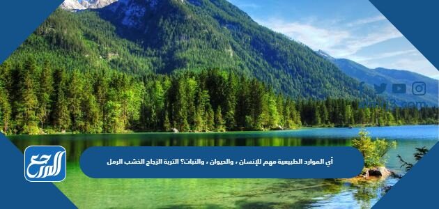 أي الموارد الطبيعية مهم للإنسان ، والحيوان ، والنبات؟ التربة الزجاج الخشب الرمل