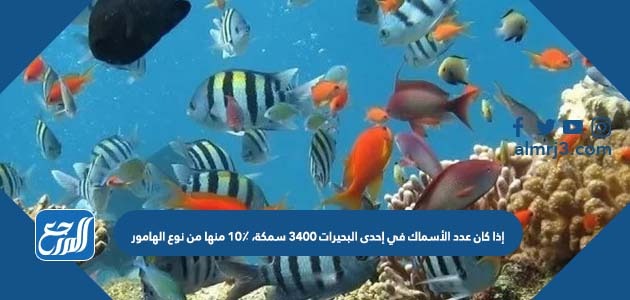 إذا كان عدد الأسماك في إحدى البحيرات ٣٤٠٠ سمكة، ١٠٪ منها من نوع الهامور